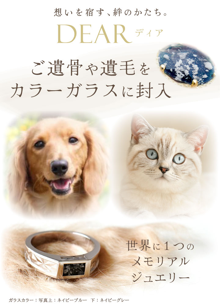 ペット 遺骨 リング 指輪 DEAR ディア ...の詳細画像2