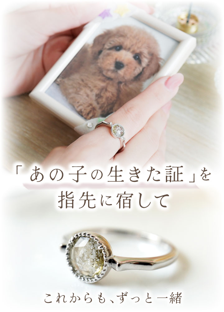ペット 遺骨 リング 指輪 DEAR ディア ...の詳細画像1