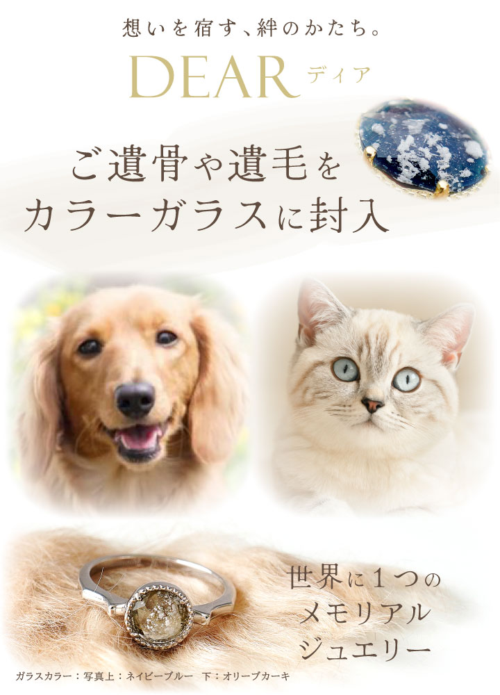 ペット 遺骨 リング 指輪 DEAR ディア ...の詳細画像2