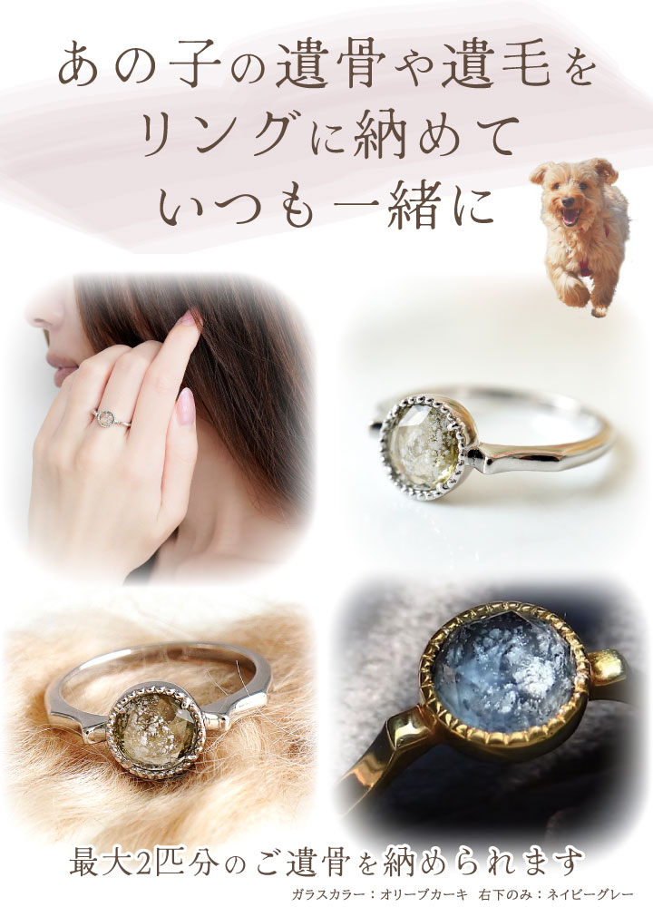 ペット 遺骨 リング 指輪 DEAR ディア ...の詳細画像3