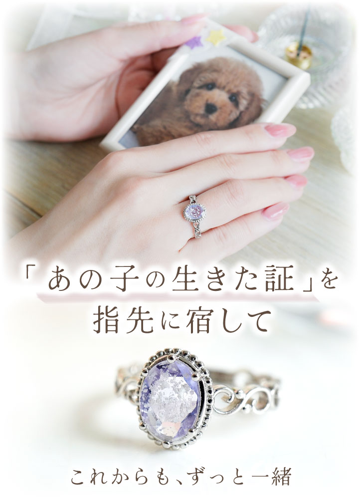 ペット 遺骨 リング 指輪 DEAR ディア ...の詳細画像1