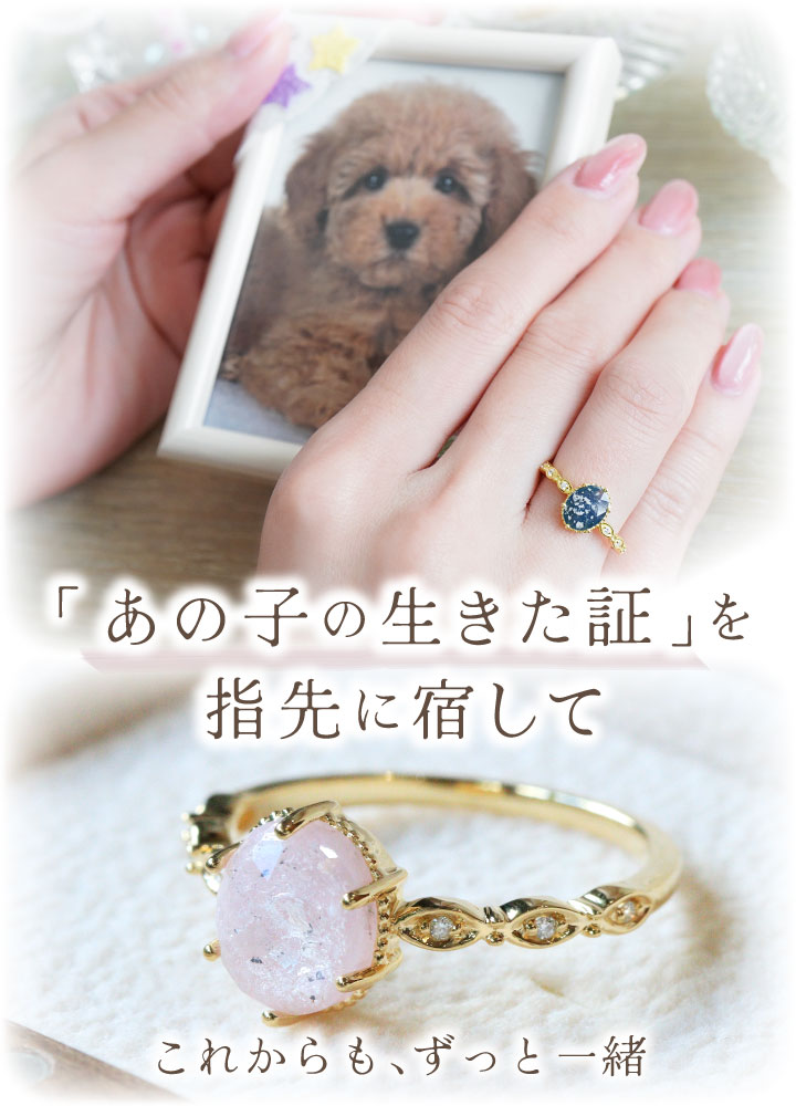 ペット 遺骨 リング 指輪 DEAR ディア ...の詳細画像1