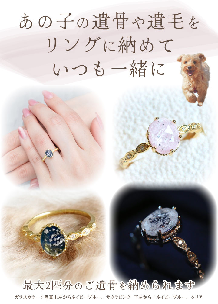 ペット 遺骨 リング 指輪 DEAR ディア ...の詳細画像3