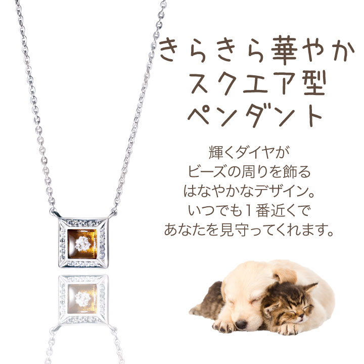 ブランド登録なし ペット 遺骨ペンダント ガラス スクエアペンダント ダイヤモンド付 ネックレス 名入れ ViViGreen NS21004 :  ペット仏壇・仏具のディアペット - 通販 - Yahoo!ショッピング