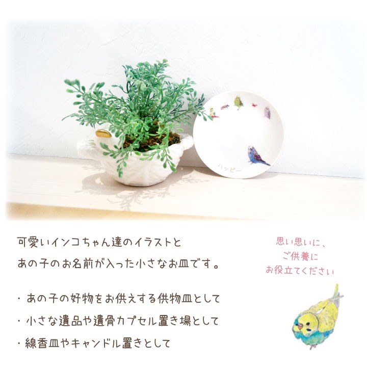 インコちゃんのかわいいお皿