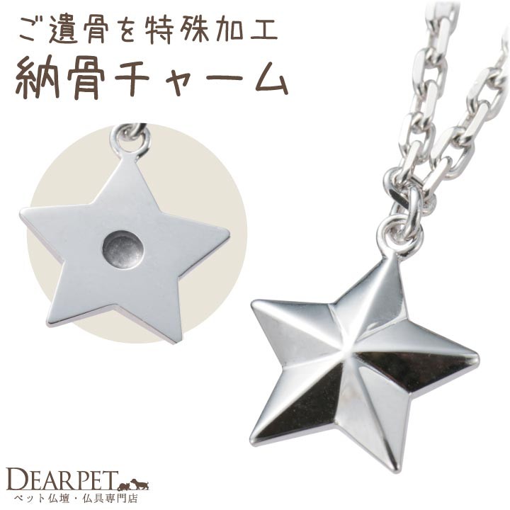 ペット 遺骨 アクセサリー TWINKLE(S) チャーム 単品 ペット供養 ジュエリー 手元供養 骨 メモリアルグッズ 加工 メモリアル アクセサリー ISSHONY 星 スター