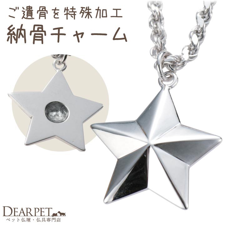 ペット 遺骨 アクセサリー TWINKLE（L） チャーム 単品 ペット供養 ジュエリー 手元供養 骨 メモリアルグッズ 加工 メモリアル アクセサリー ISSHONY スター 星