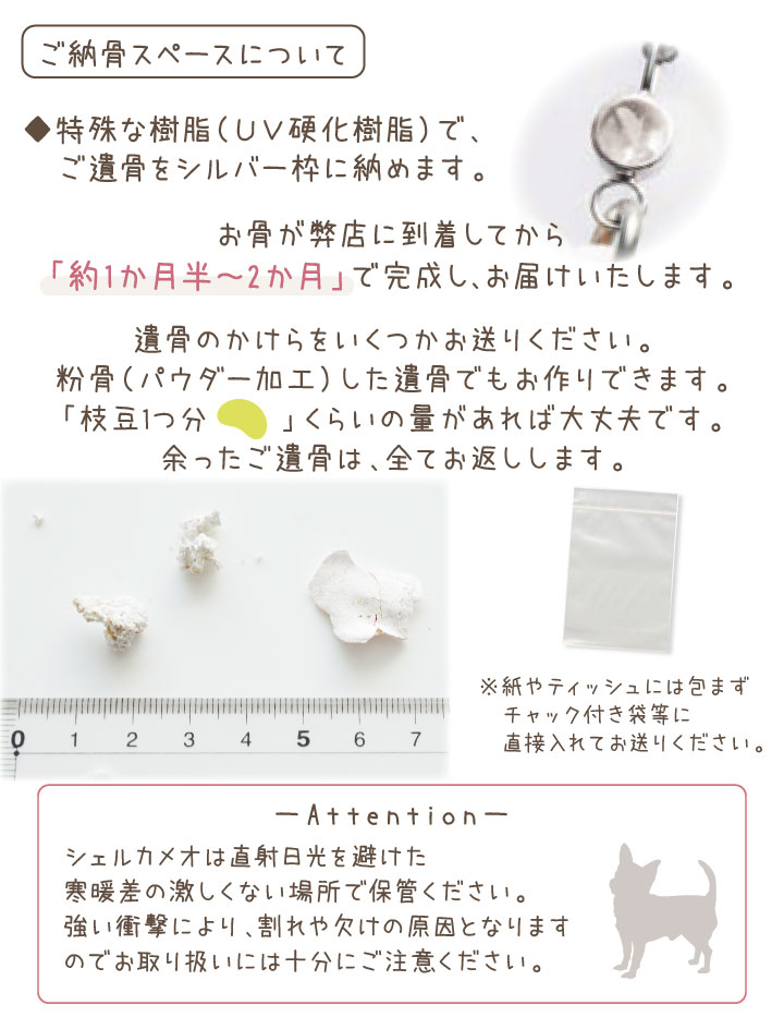 ペット 遺骨 アクセサリー VIRGO チャーム 単品 ペット供養 ISSHONY : f00wh023 : ペット仏壇・仏具のディアペット - 通販  - Yahoo!ショッピング