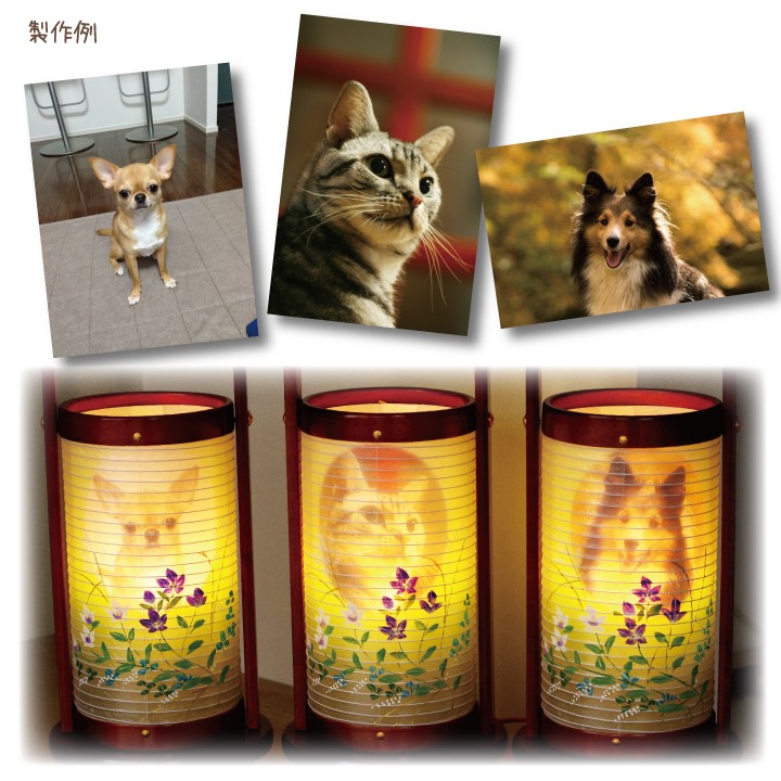 ペット盆提灯 写真入り 盆飾り ペット用 新盆 初盆 お盆 盆用品 ペット供養 ちょうちん 桔梗（ききょう）_7