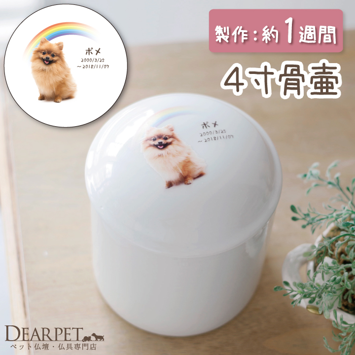 ペット 骨壷 4寸 ペット骨壷 虹の橋骨壷 犬 猫｜dearpet