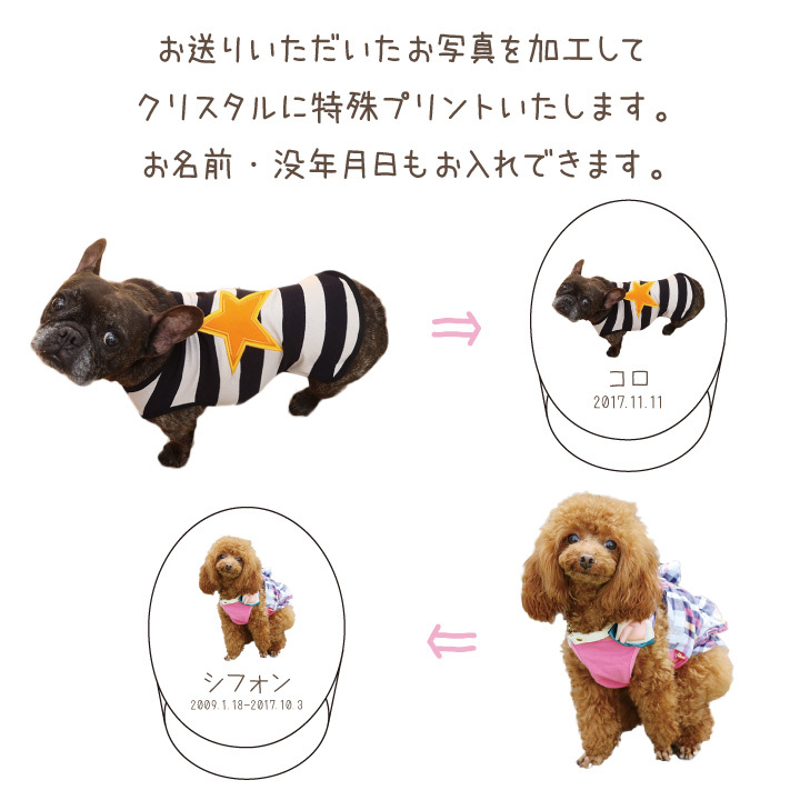 ペット 位牌 ペット位牌 オーバル クリスタル位牌 ミニ 写真 特製BOX付｜dearpet｜04