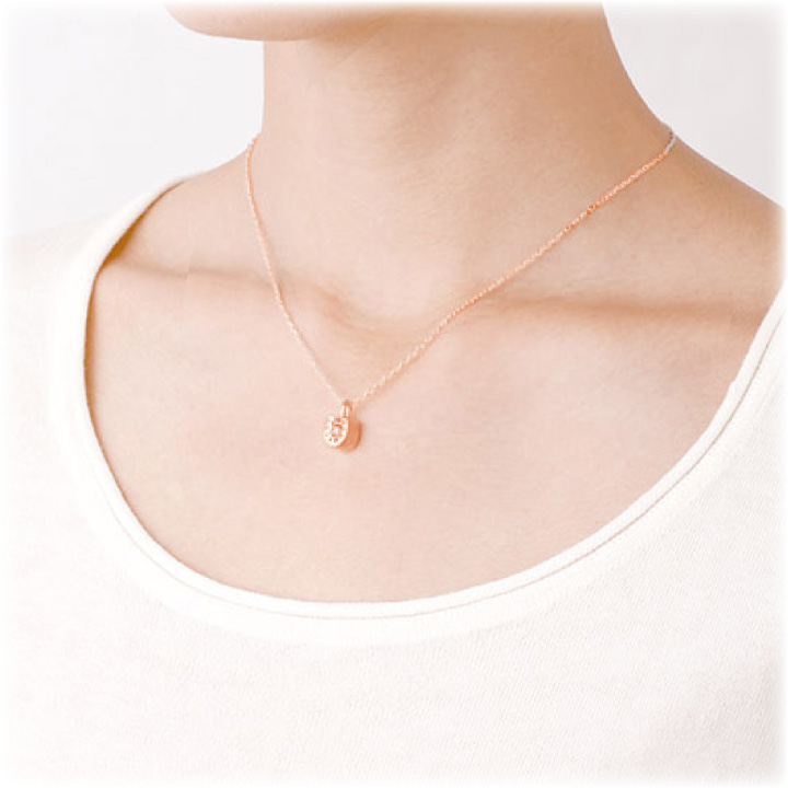 ポイント5倍 ペット 遺骨ペンダント ホースシ...の詳細画像1