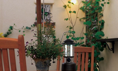 Dea S Patio ディーズガーデン専門店fs 通販 Yahoo ショッピング