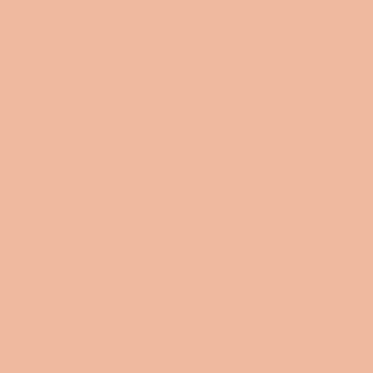 ペンキ 水性ペイント 水性塗料 屋内 木部 イマジン ウォール ペイント Pink ピンク 2L｜decoall｜04