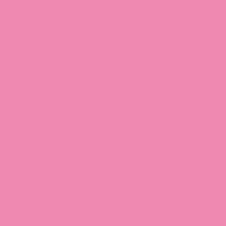 ペンキ 水性ペイント 水性塗料 屋内 木部 イマジン ウォール ペイント Pink ピンク 0.5L｜decoall｜07