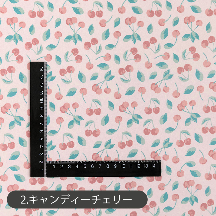 デコレクションズ 生地布防水ポリエステル生地/幅約147cm【50cm単位