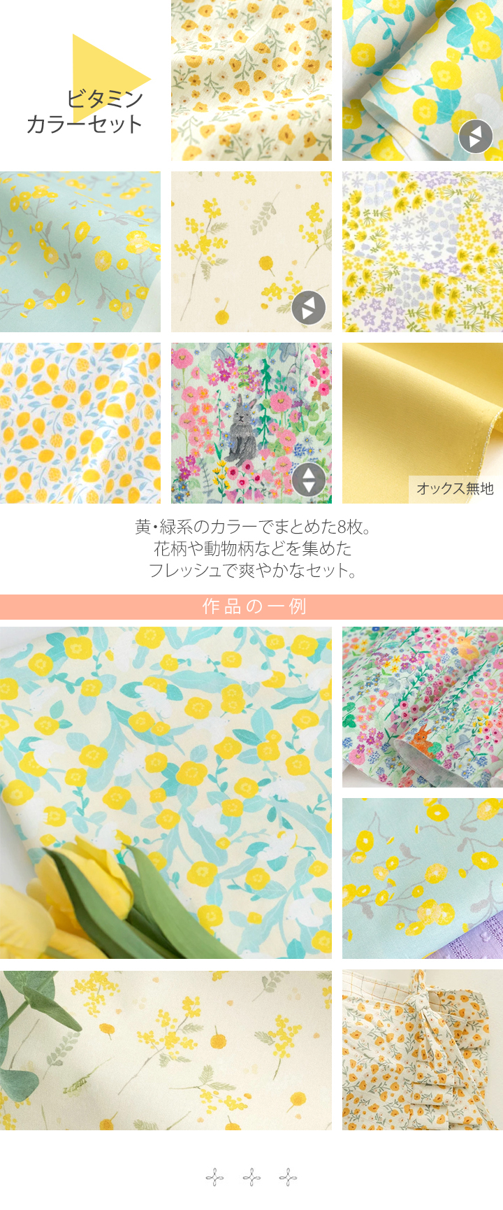 ビタミンカラーセット