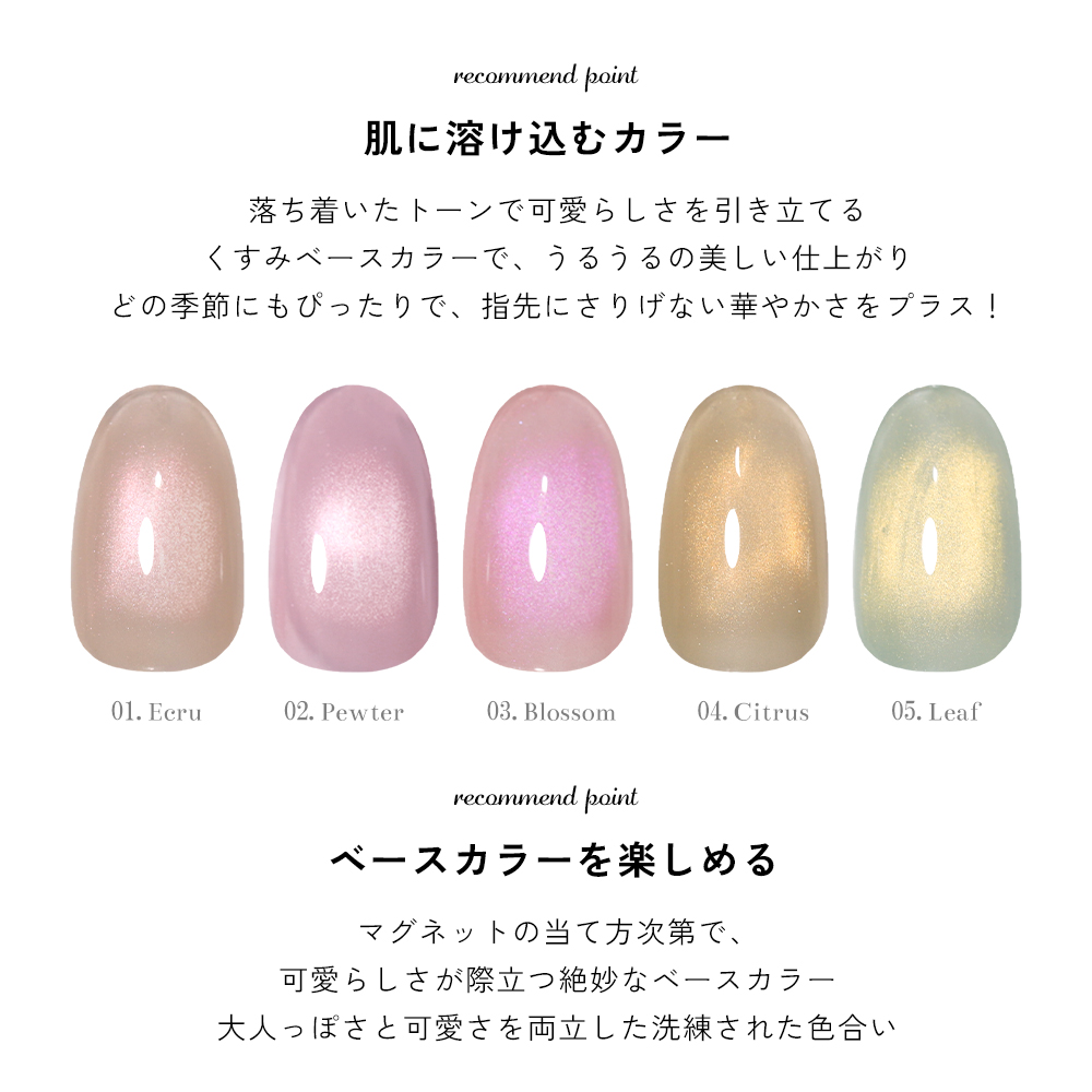 NAILTOWN [アウトレット品]超微粒 マグネットネイル ネイル