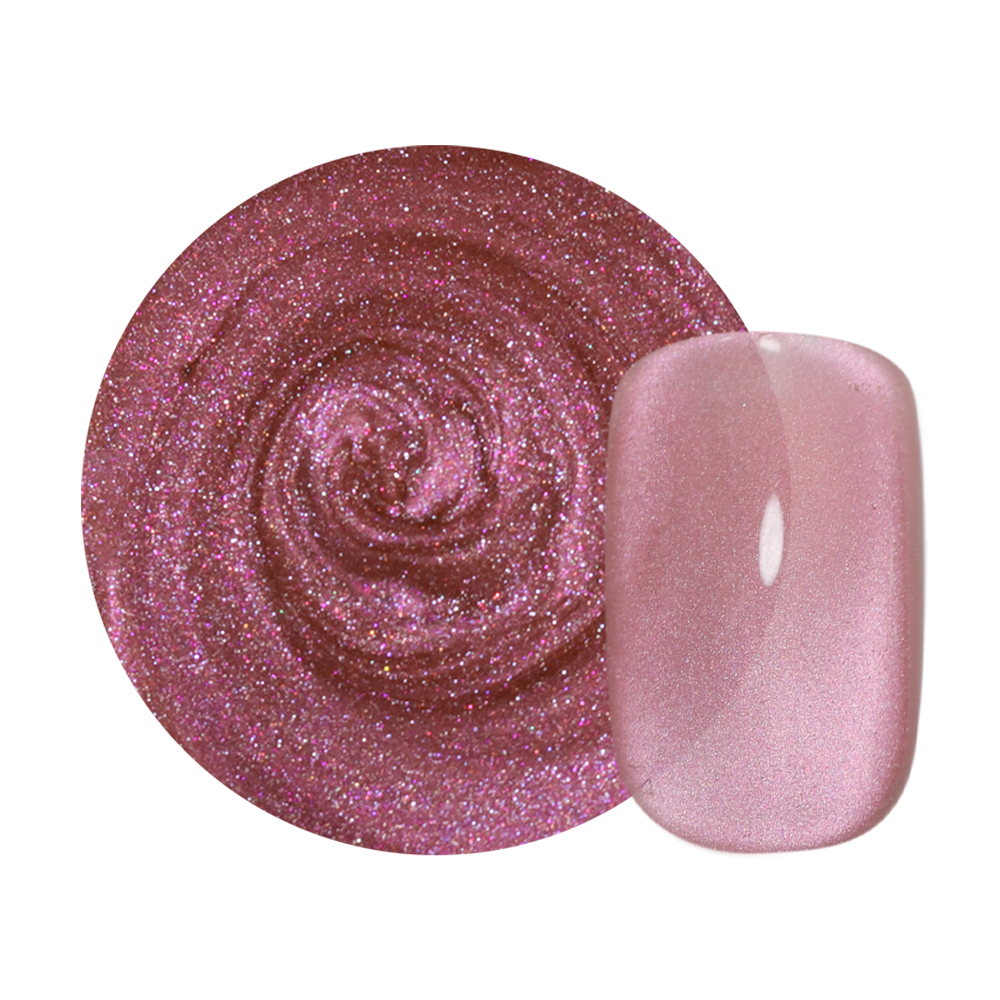 ネイルベット XEIJAYI 10 ミリリットルブルー磁気ジェル反射グリッターセラミック