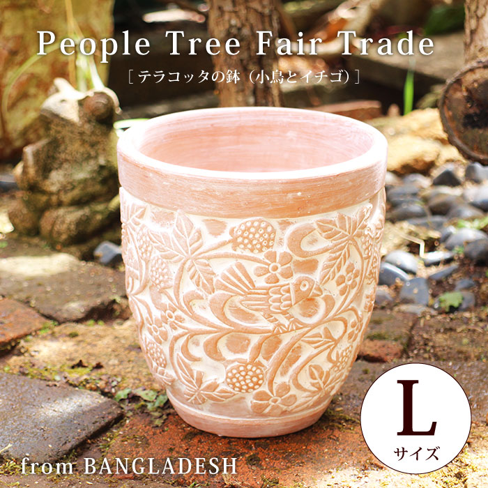 フェアトレード People Tree（テラコッタの鉢（Lサイズ））5号