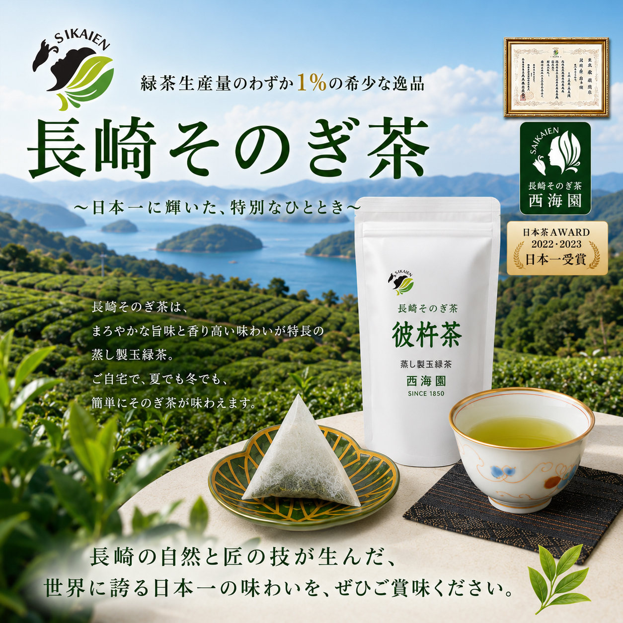 長崎県産 長崎そのぎ茶 ティーバッグ100包ネコポス送料無料 全国