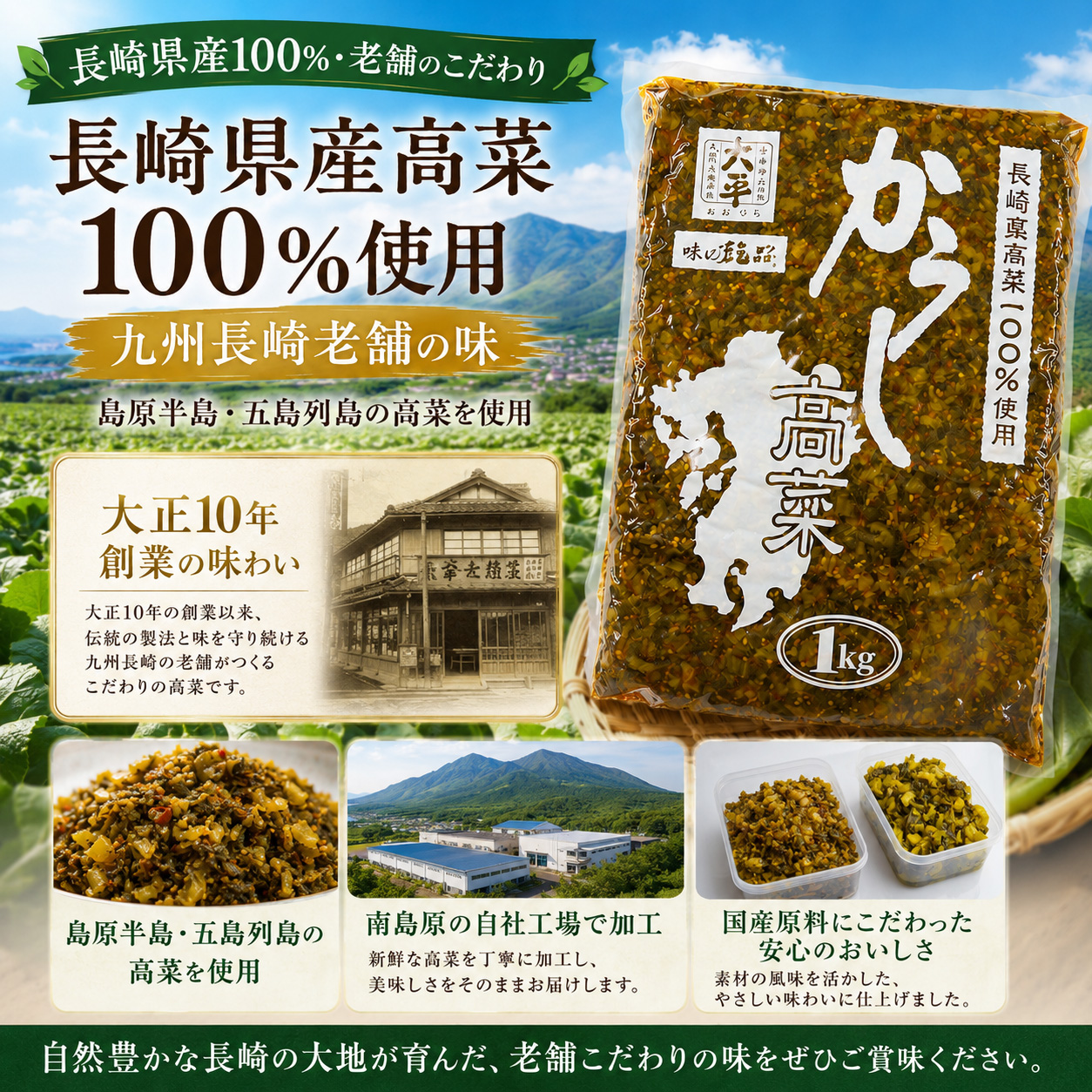 からし高菜 1kg 長崎県産100% 辛子高菜 高菜漬け 刻み高菜 ご飯のお供