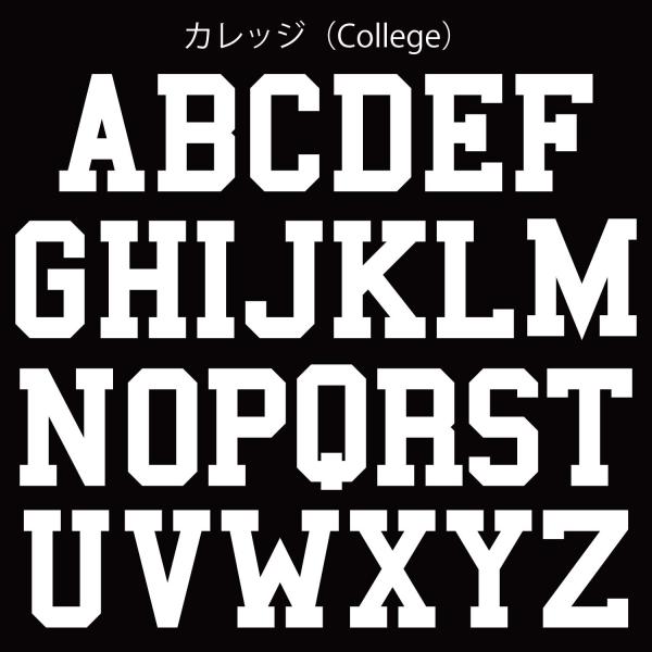 DTF ゼッケン転写シート ナンバー （0〜9）Small （7cm） ホワイト（白） ユニフォーム ビブス 背番号 アイロン接着 10枚までネコポス発送