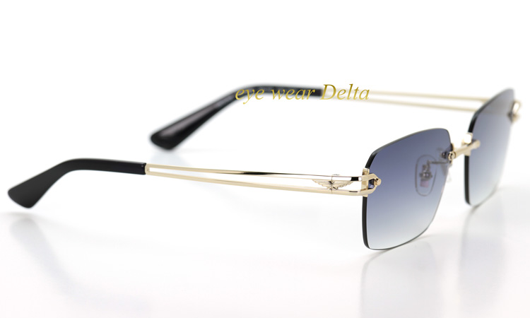 POLICE（ポリス） サングラス 2026年NEWモデル SPLT68J-0300 国内正規