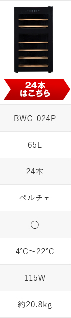 PlusQ(プラスキュー) BWC-024Pはこちらへ