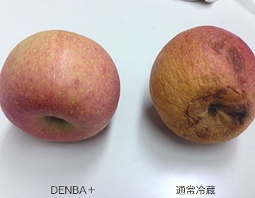 鮮度保持電場装置 DENBA-FreshPro : denba-freshpro : DENBA - 通販 - Yahoo!ショッピング