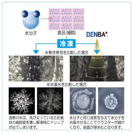 鮮度保持電場装置 DENBA-FreshPro : denba-freshpro : DENBA - 通販 - Yahoo!ショッピング