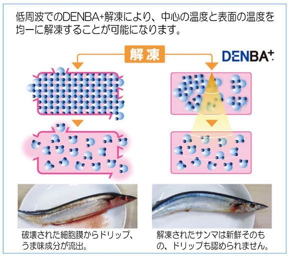 鮮度保持電場装置 DENBA-FreshPro : denba-freshpro : DENBA - 通販 - Yahoo!ショッピング