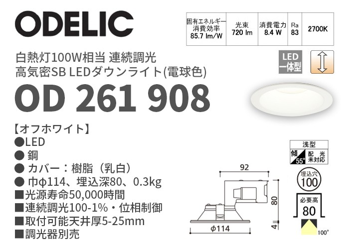 当店だけの限定モデル パナソニック 93形スパイラルパルック蛍光灯 クール色 昼光色 FHSC93ECW www.rmb.com.ar