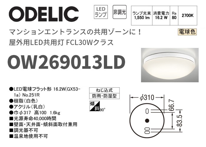 ODELIC（オーデリック） OW269013LD 屋外用LED共用灯 FCL30Wクラス
