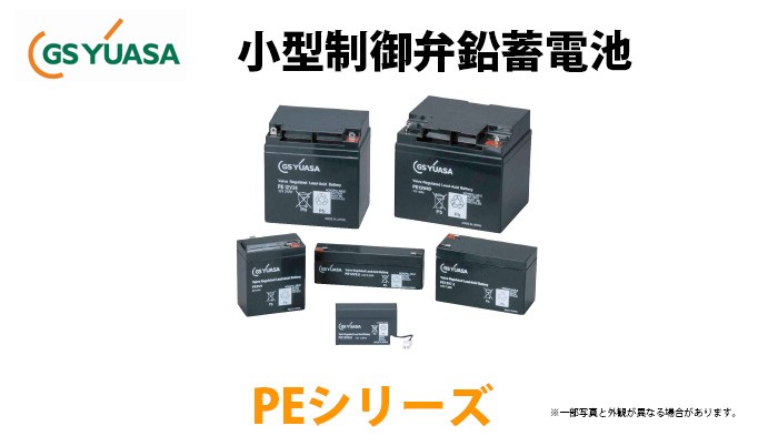 GSユアサ 受注品 PE12V24A （ PE12V24A/A ）GSユアサ製 小形制御弁式鉛