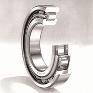 N205ET2X 円筒ころ軸受 NTN : 伝導機器オンラインショップ - 通販