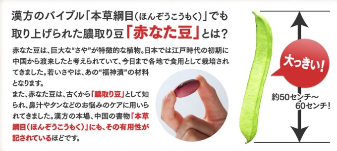 送料無料！】赤なた豆エキス 120粒 【1ヶ月分】 : エナジー