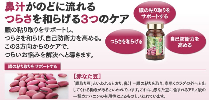 【即納&大特価】 送料無料!】赤なた豆エキス エナジー : 【1ヶ月分】 120粒 サプリメント・ビタミン