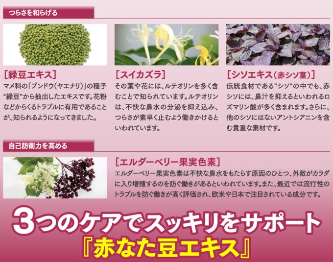 送料無料！】赤なた豆エキス 120粒 【1ヶ月分】 : エナジー