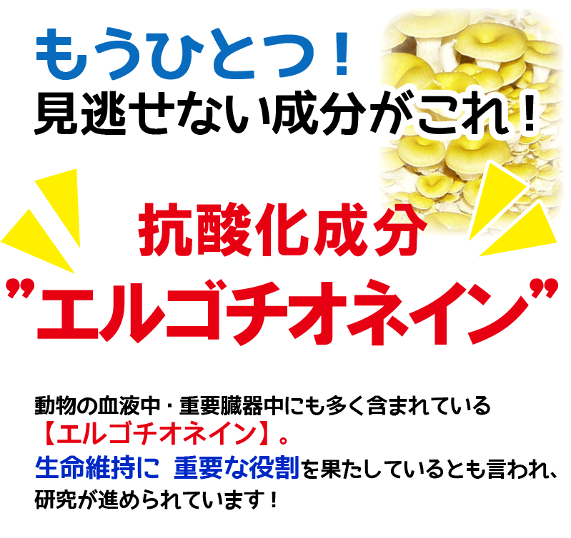 スリービー たもぎ茸の力 顆粒 40包