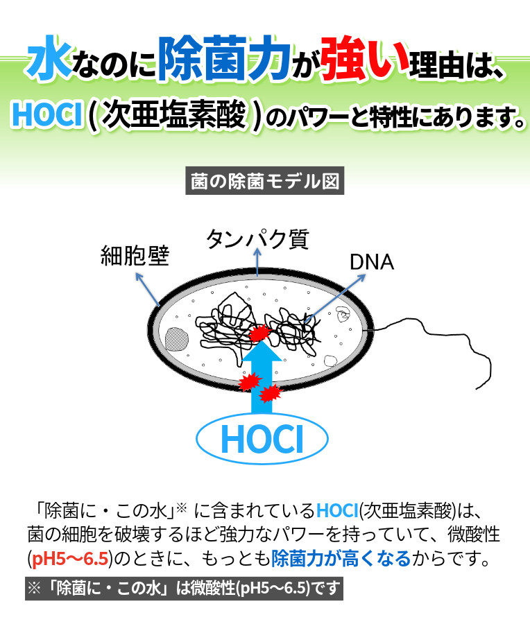 除菌力が強い理由はHOClのパワーと特性