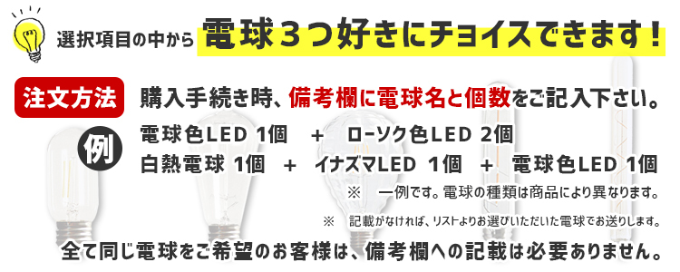 SET商品 LED電球 選択