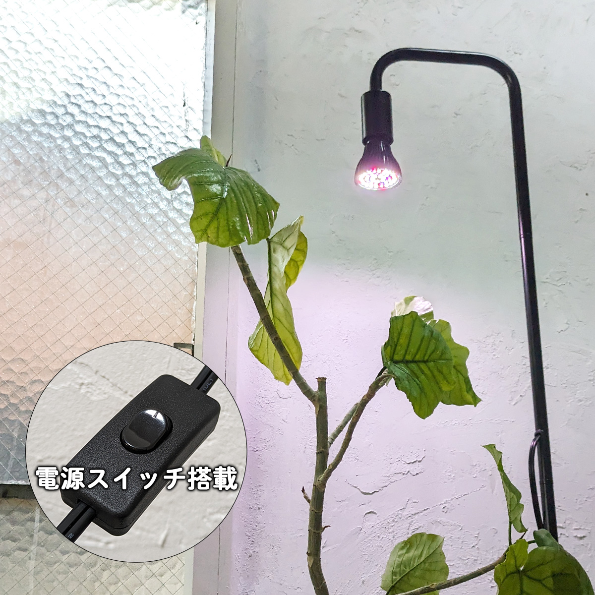 植物育成ライト led e26 スタンドライト 高さ調整可能  育成ライト 植物育成 観葉植物 多肉植物育成 室内栽培 水耕栽培  日照不足解消 でんらい｜denraiasia｜06