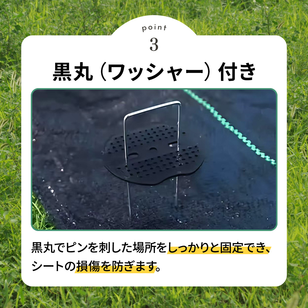 ポイント3