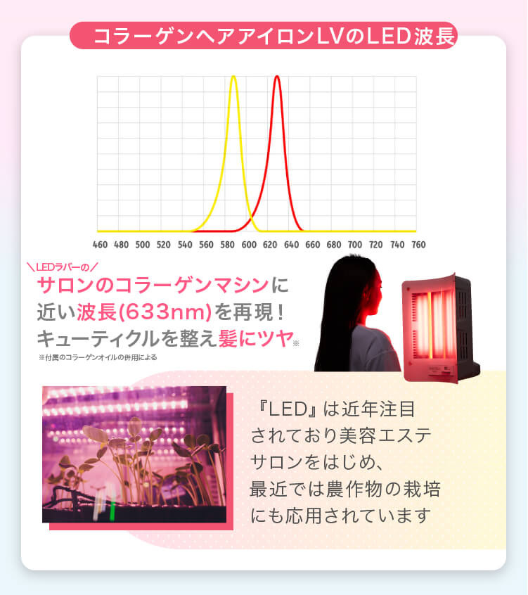 最大61%オフ! ハピラフストアボンビアルコン Bonbi ボタニカル肉球 ...