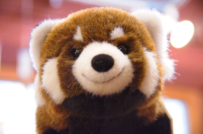 ケーセン(Kosen)社　レッサーパンダ ケーセン ケーセン社