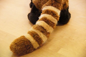 ケーセン(Kosen)社　レッサーパンダ ケーセン ケーセン社