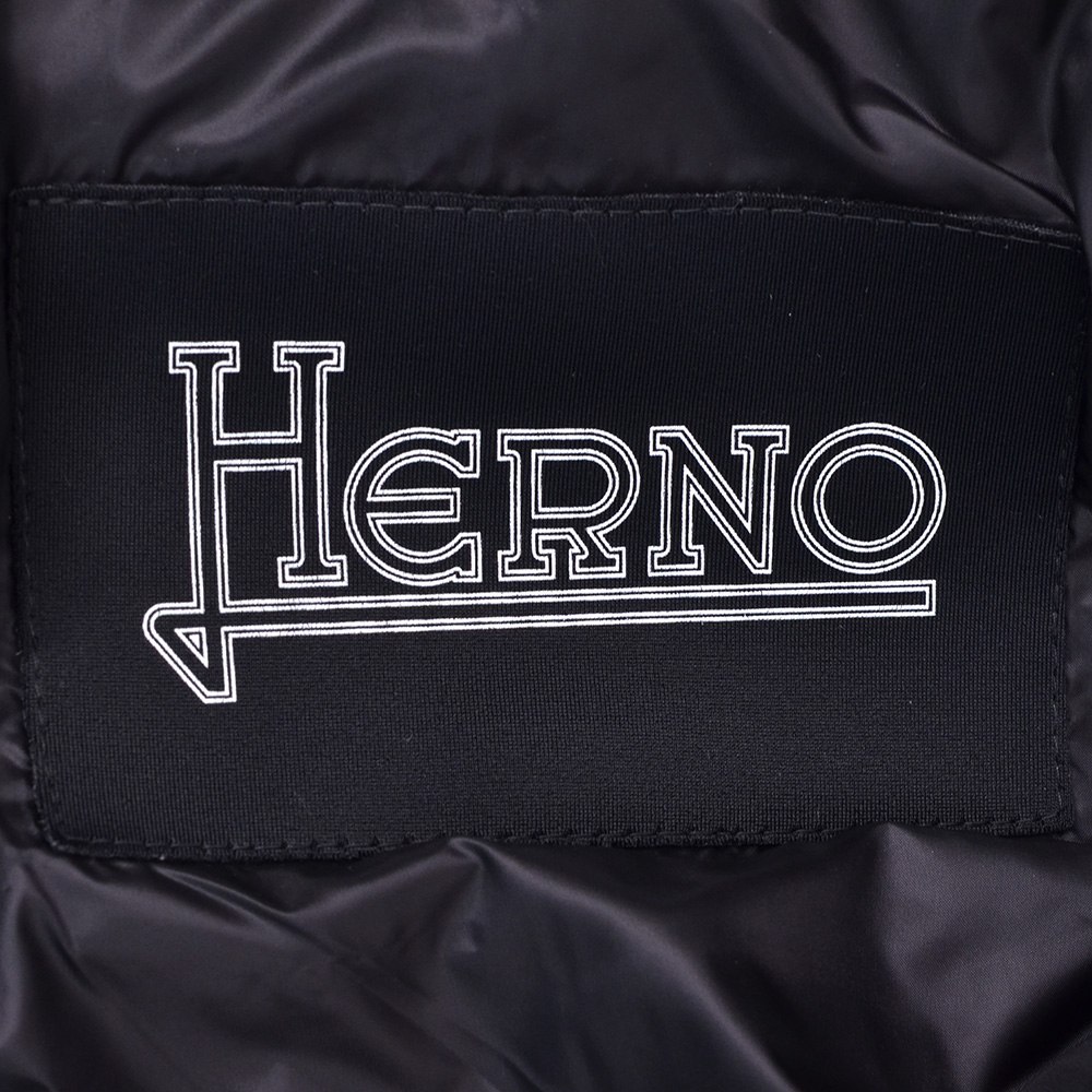ヘルノ HERNO ダウンジャケット メンズ ジップアップアウター 撥水ナイロン ブラック コーティング素材 左袖ロゴデザイン 国内正規品 でらでら 公式ブランド｜deradera｜11