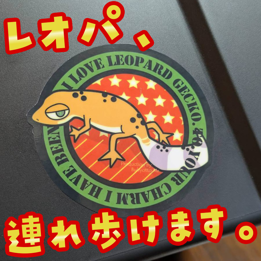 爬虫類 レオパードゲッコー ヒョウモントカゲモドキ ステッカー M