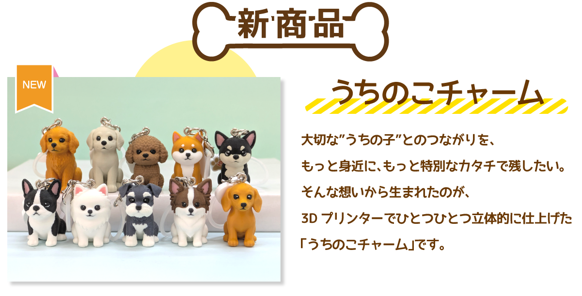 ドッグフェスティバル1